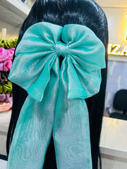 Shimmery bow
