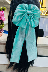 Shimmery bow